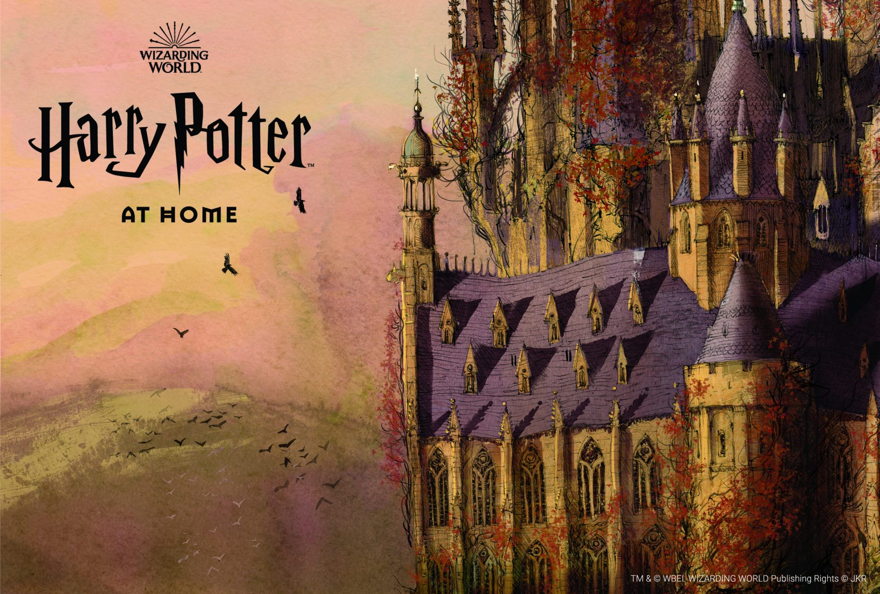 Harry Potter at home